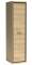 Šatní skříň 1D VIOLA M-2 - dub hickory
